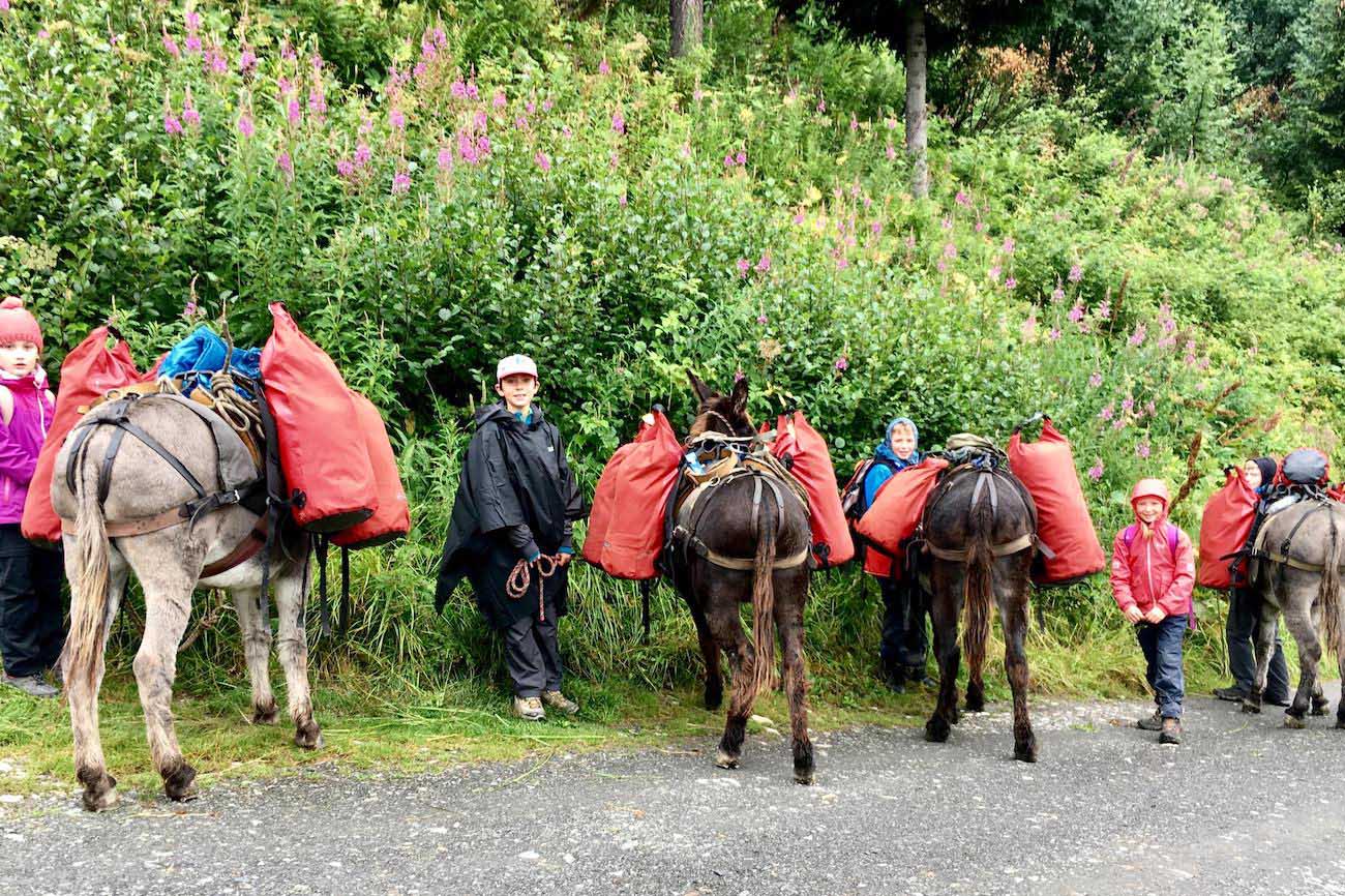 quel niveau pour faire le tour du mont blanc